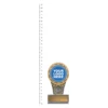 Mini IKON Trophy next to ruler