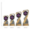 Music Arclight Colour trophies next to ruler Music Arclight Colour trophies next to ruler