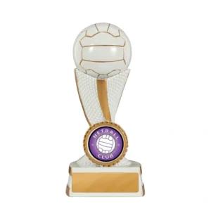 White / gold twist series-netball with resin construction