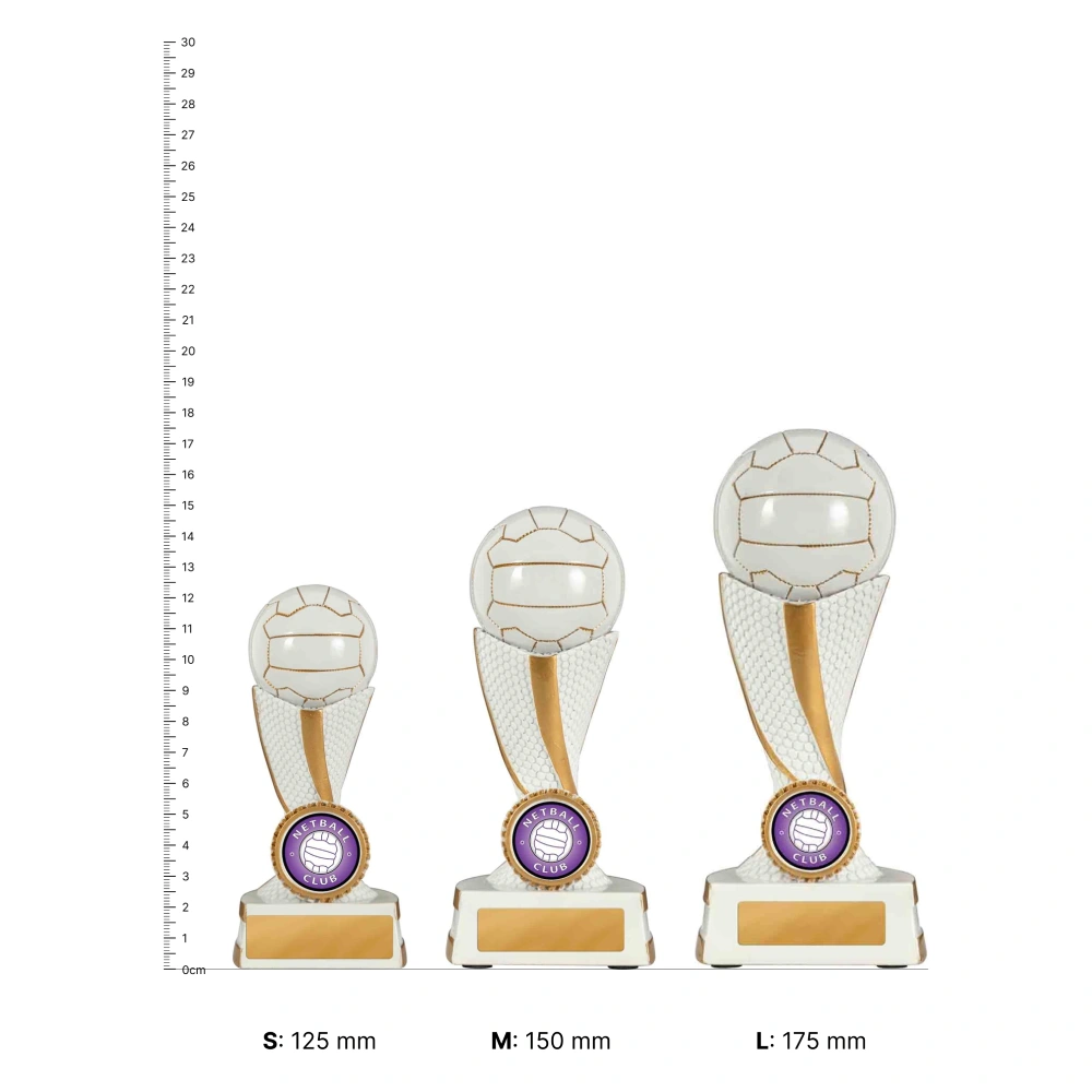 Netball Twist Series