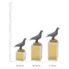 Pigeon Budget Crystal trophies next to ruler Pigeon Budget Crystal trophies next to ruler