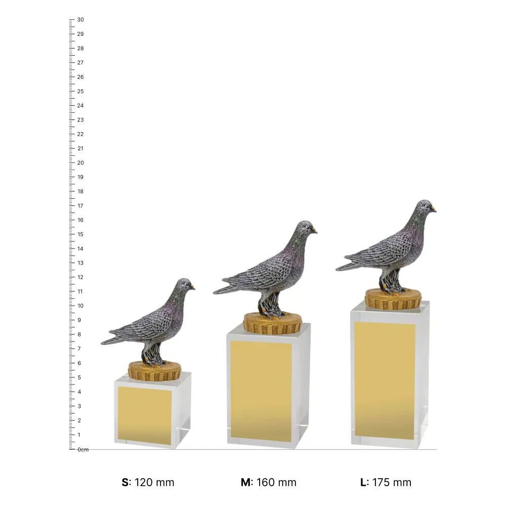 Pigeon Budget Crystal trophies next to ruler Pigeon Budget Crystal trophies next to ruler