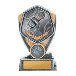Silver / gold hero series-public speaking with res / ilient construction