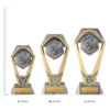 Public Speaking Hex Tower trophies next to ruler Public Speaking Hex Tower trophies next to ruler