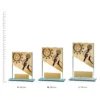 Public Speaking Theme on Glass trophies next to ruler