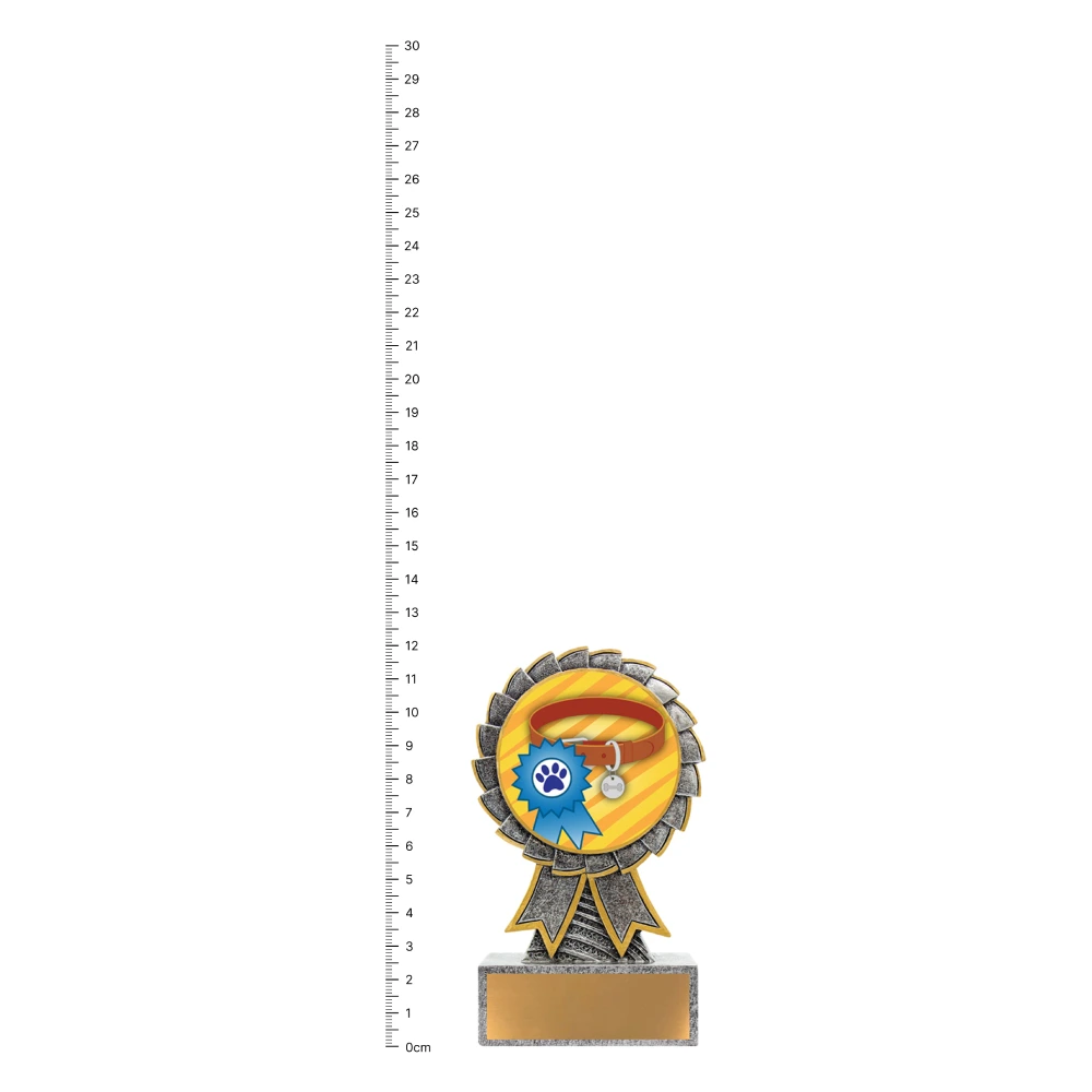 Ribbon & Collar Aster trophy next to ruler Ribbon & Collar Aster trophy next to ruler