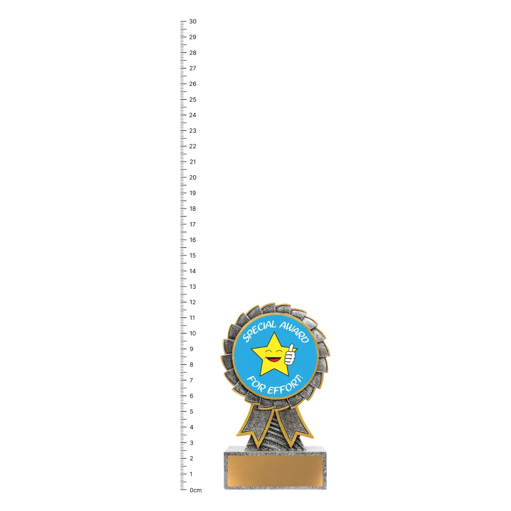 Special Award Aster trophy next to ruler Special Award Aster trophy next to ruler