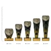 Squash Fusion Cobra Squash Fusion Cobra trophies next to ruler