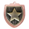 Star Shield Medal bronze bronze shield medal - star with iron construction