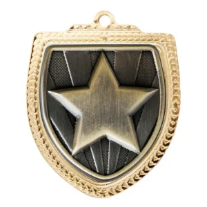 Gold / gold shield medal - star with iron construction