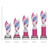 Vision Pink Vision Pink trophies next to ruler