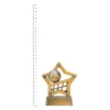 Volleyball Mini Star trophy next to ruler