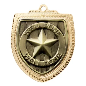 Gold / gold shield medal - well done! with iron construction