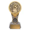 Silver / gold ikon - wicketkeeper with resin construction
