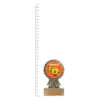 Winner Aster trophy next to ruler Winner Aster trophy next to ruler