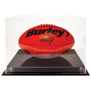 Acrylic case - oval ball with acrylic construction