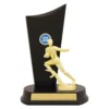 Gold american football timber crest with plastic / timber construction