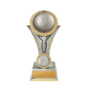 Silver / gold angel victory-netball with resin construction