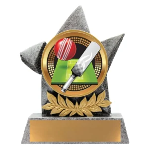 Silver argo - cricket with resin construction