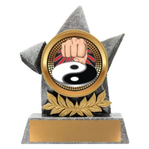 Silver argo - martial arts with resin construction