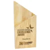 qw185a Arrow award with wood construction