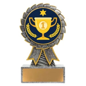 Silver aster - 1st place with resin construction