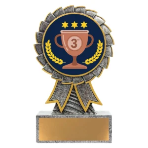 Silver aster - 3rd place with resin construction
