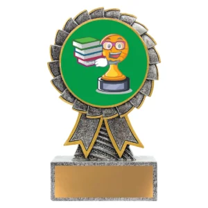 Silver aster - academic character with resin construction