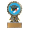 ast21-silver Silver aster - graduate with resin construction