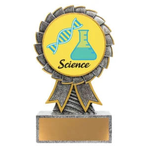 Silver aster - science with resin construction