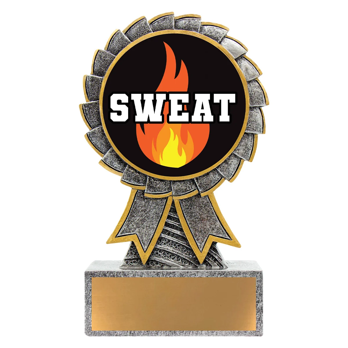 ast10-silver Silver aster - sweat training with resin construction
