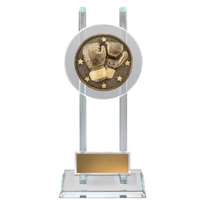 Gold boxing spartan glass with glass construction