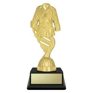 Gold budget gold - martial arts with plastic construction