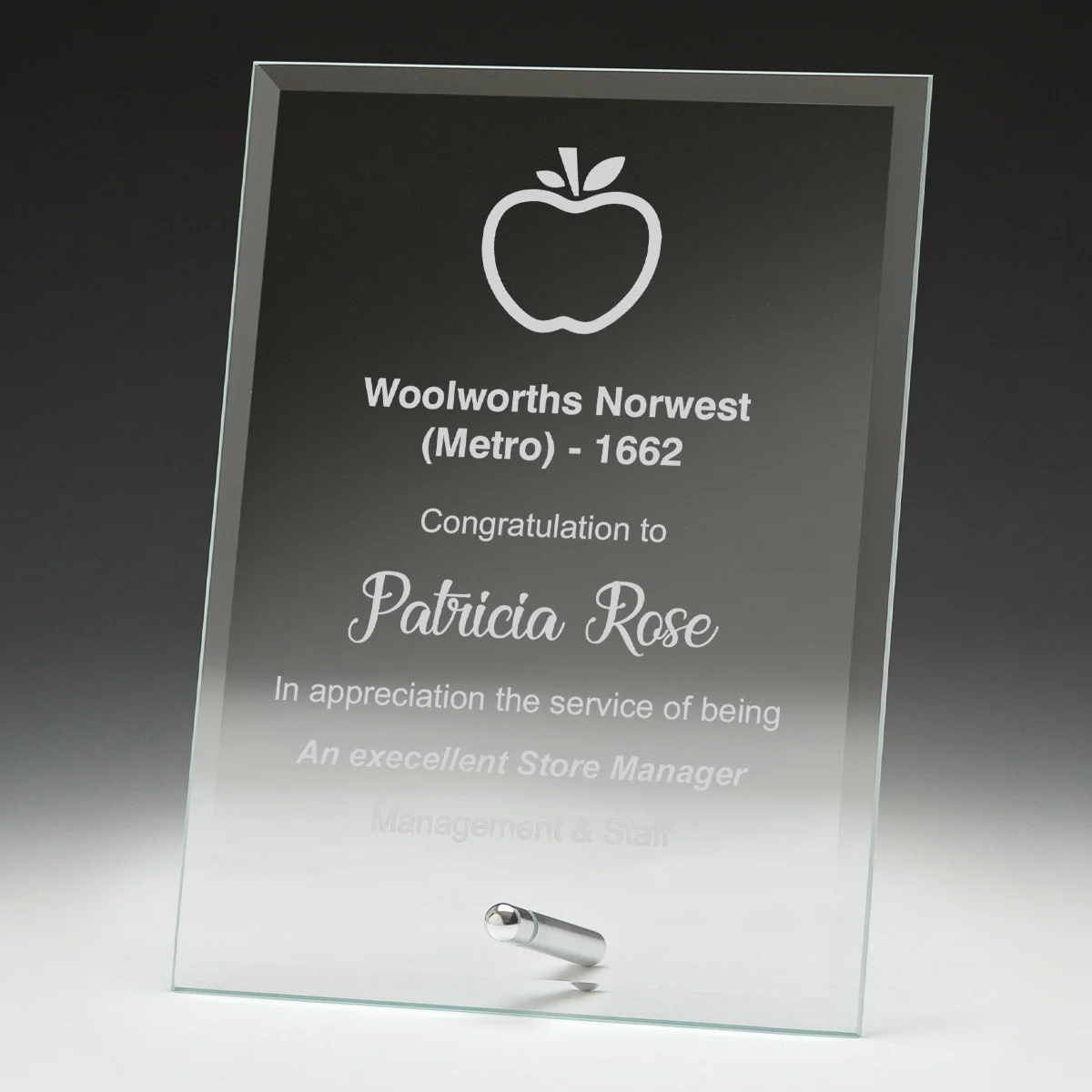 wp51a-grey-bg Budget plaque with glass construction