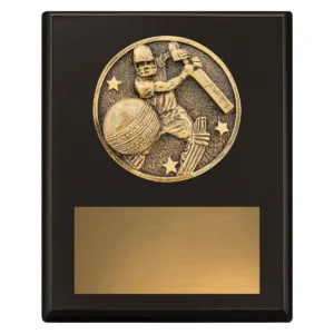 Black challenge plaque - batting with timber construction