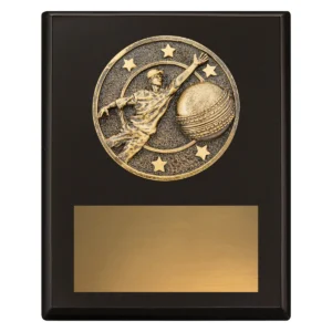 Black challenge plaque - fielding with timber construction