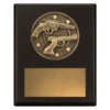 Black challenge plaque - pistol with timber construction