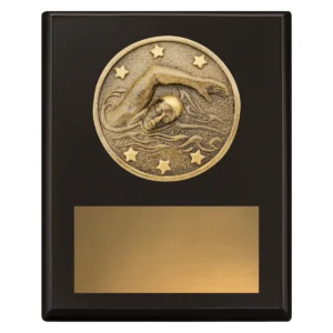 Black challenge plaque - swim with timber construction