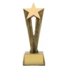 a1573b-gold Gold cherish star with resin construction
