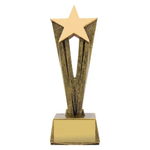 Gold cherish star with resin construction