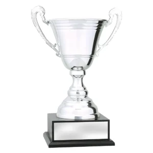 Silver classic bowl cup with metal / timber construction