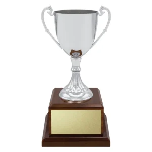 Silver classic silver cup with metal / timber construction