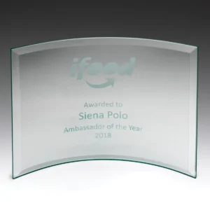 Concave award with glass construction
