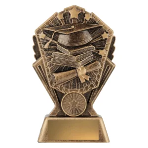 Gold cosmos - academic with resin construction