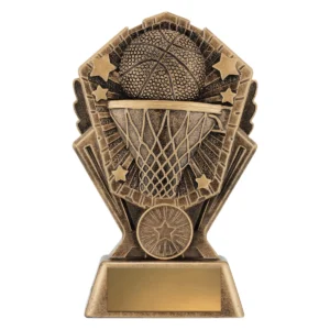 Gold cosmos - basketball with resin construction