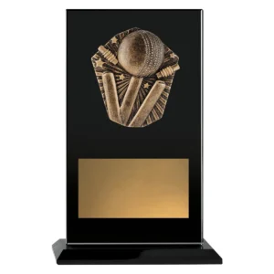 Black cosmos glass - cricket with glass construction