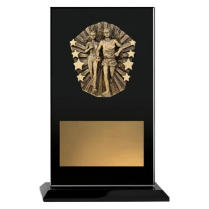 Black cosmos glass - cross country with glass construction