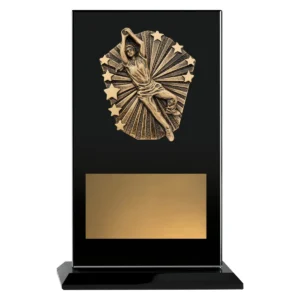 Black cosmos glass - female fielding with glass construction