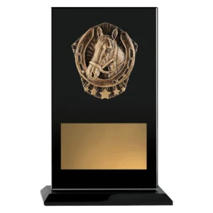 Black cosmos glass - horse with glass construction