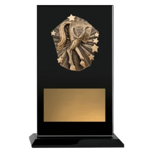 Black cosmos glass - novelty with glass construction
